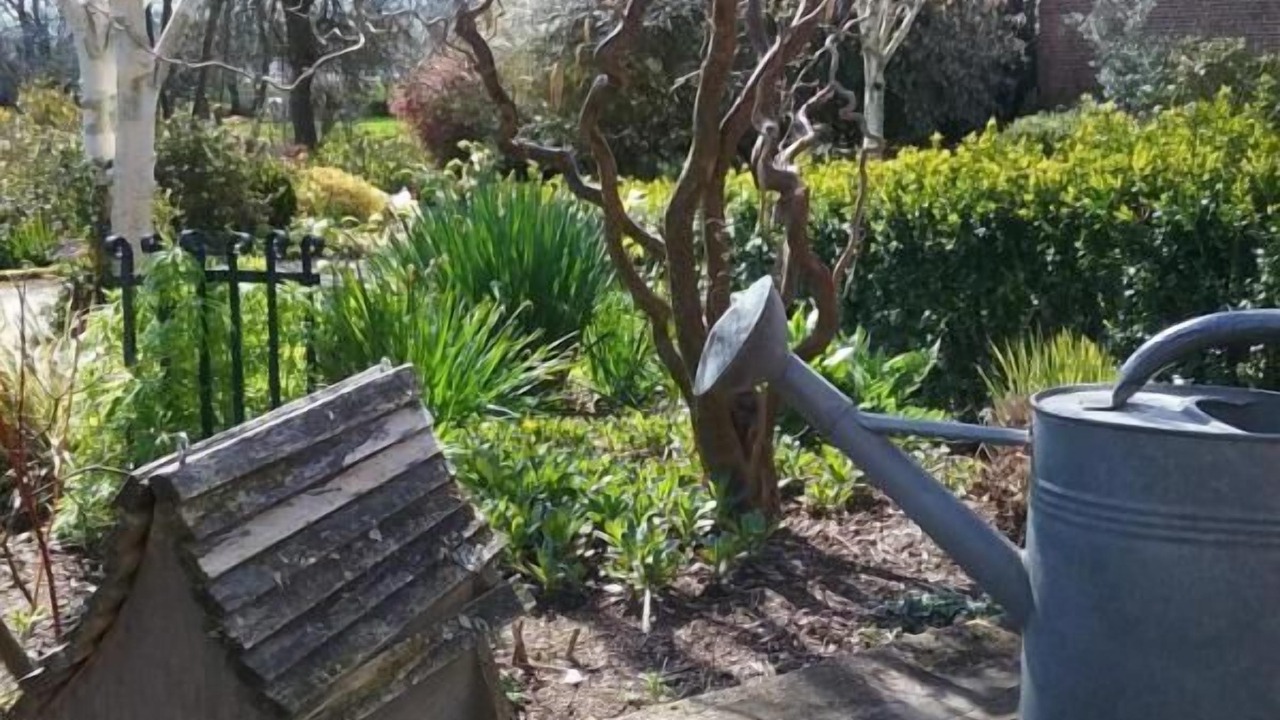 Photo of Outdoor in Brunville