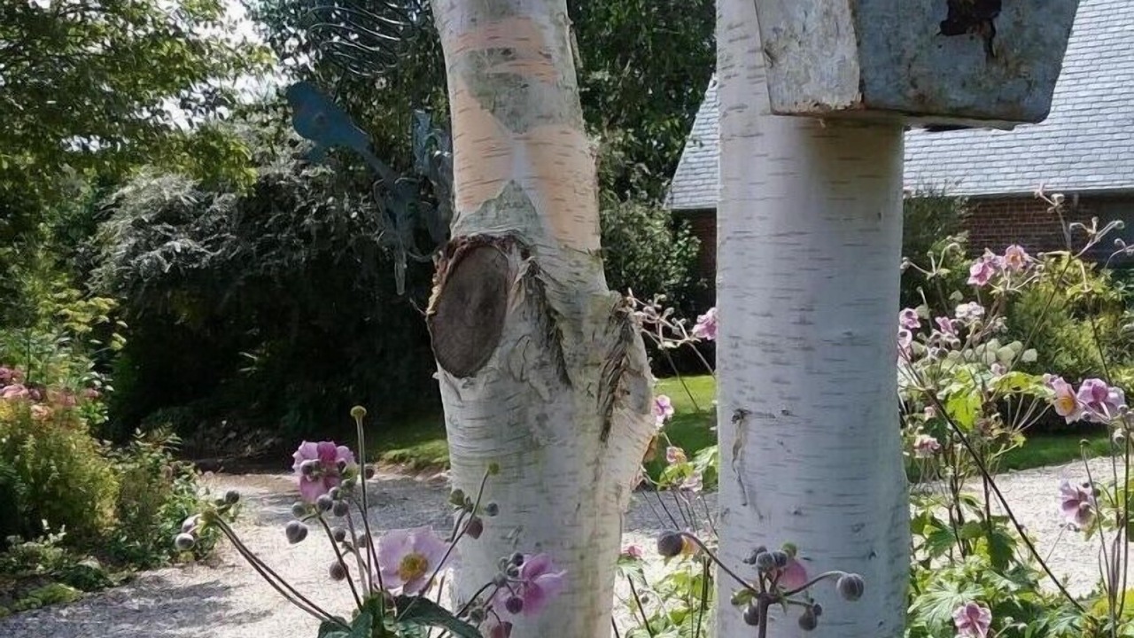 Photo of Outdoor in Brunville