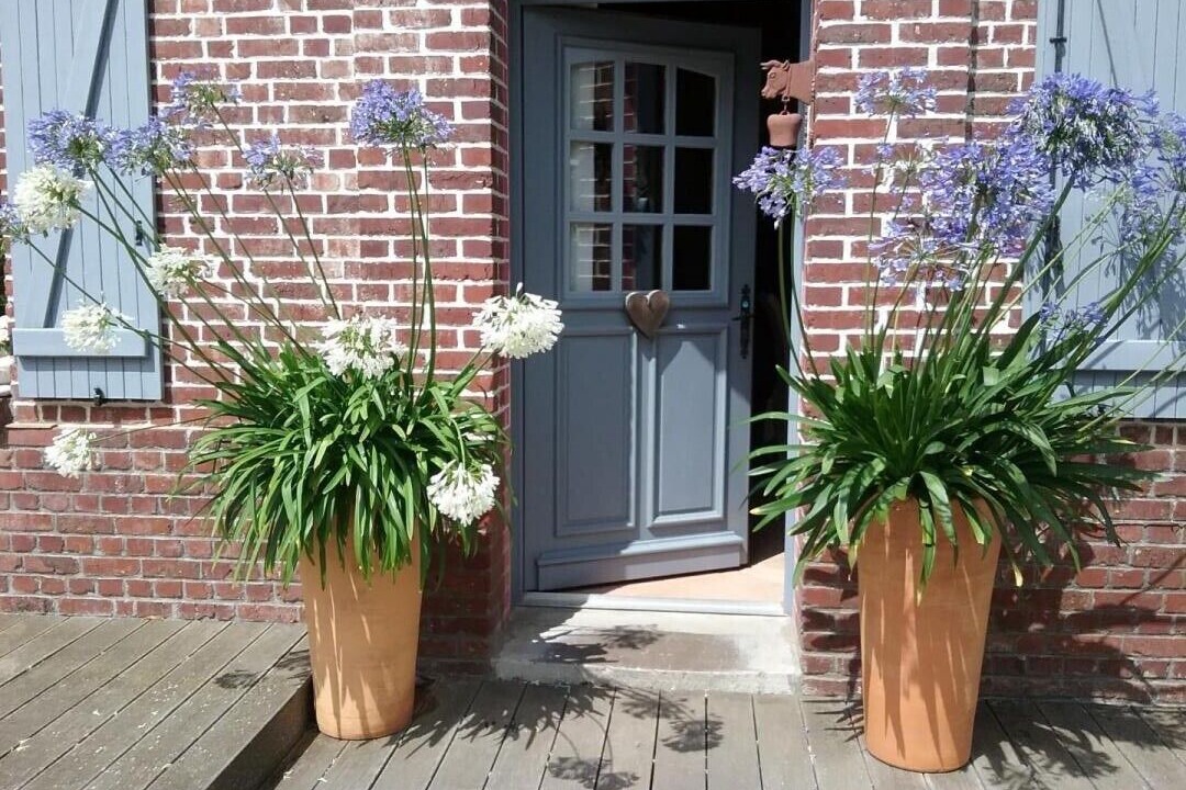 Photo of Outdoor in Brunville