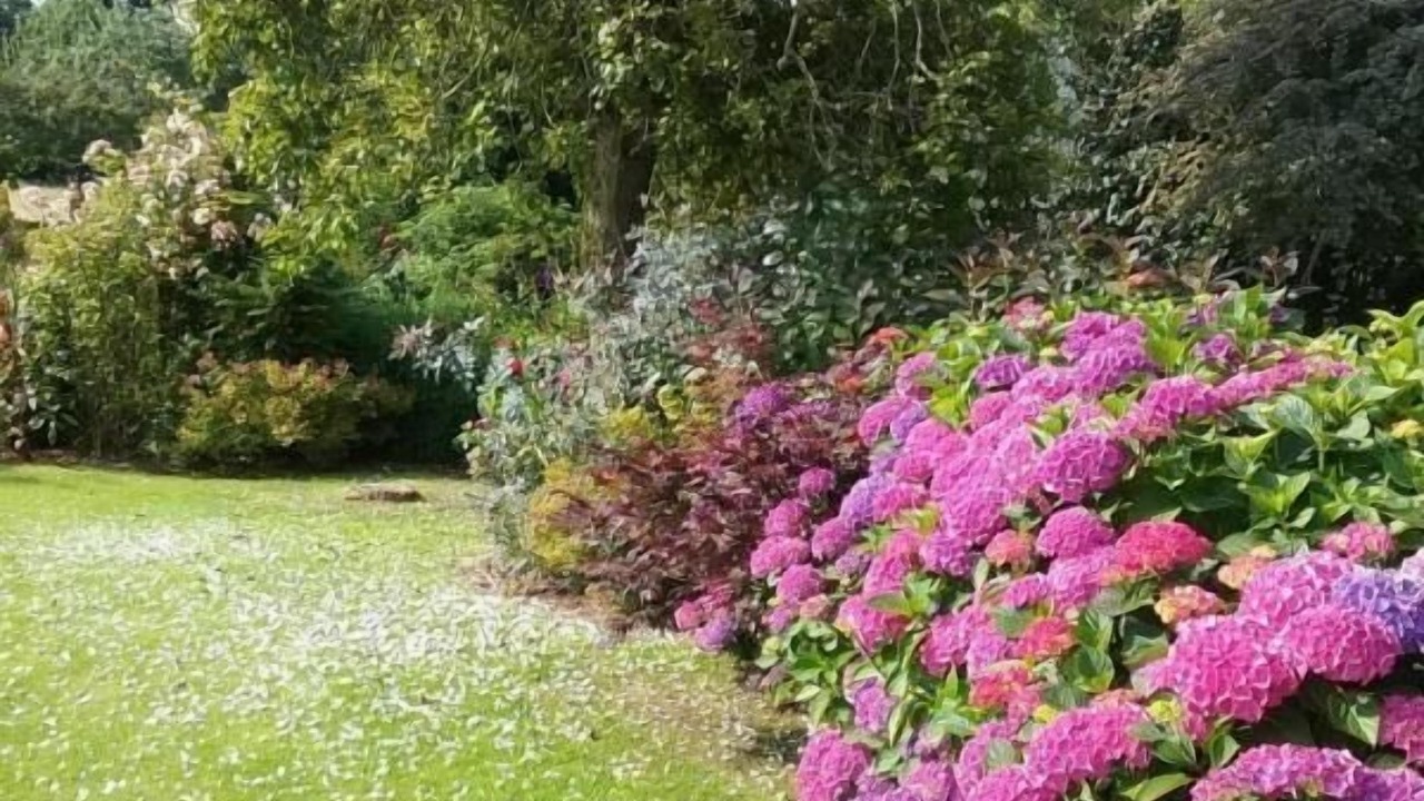 Photo of Outdoor in Brunville