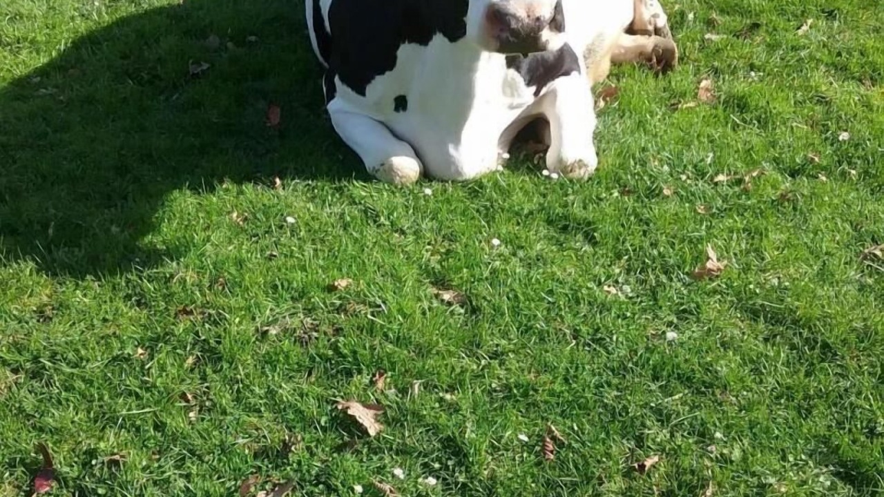 Photo of Others in Brunville