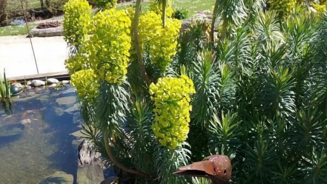 Photo of Outdoor in Brunville