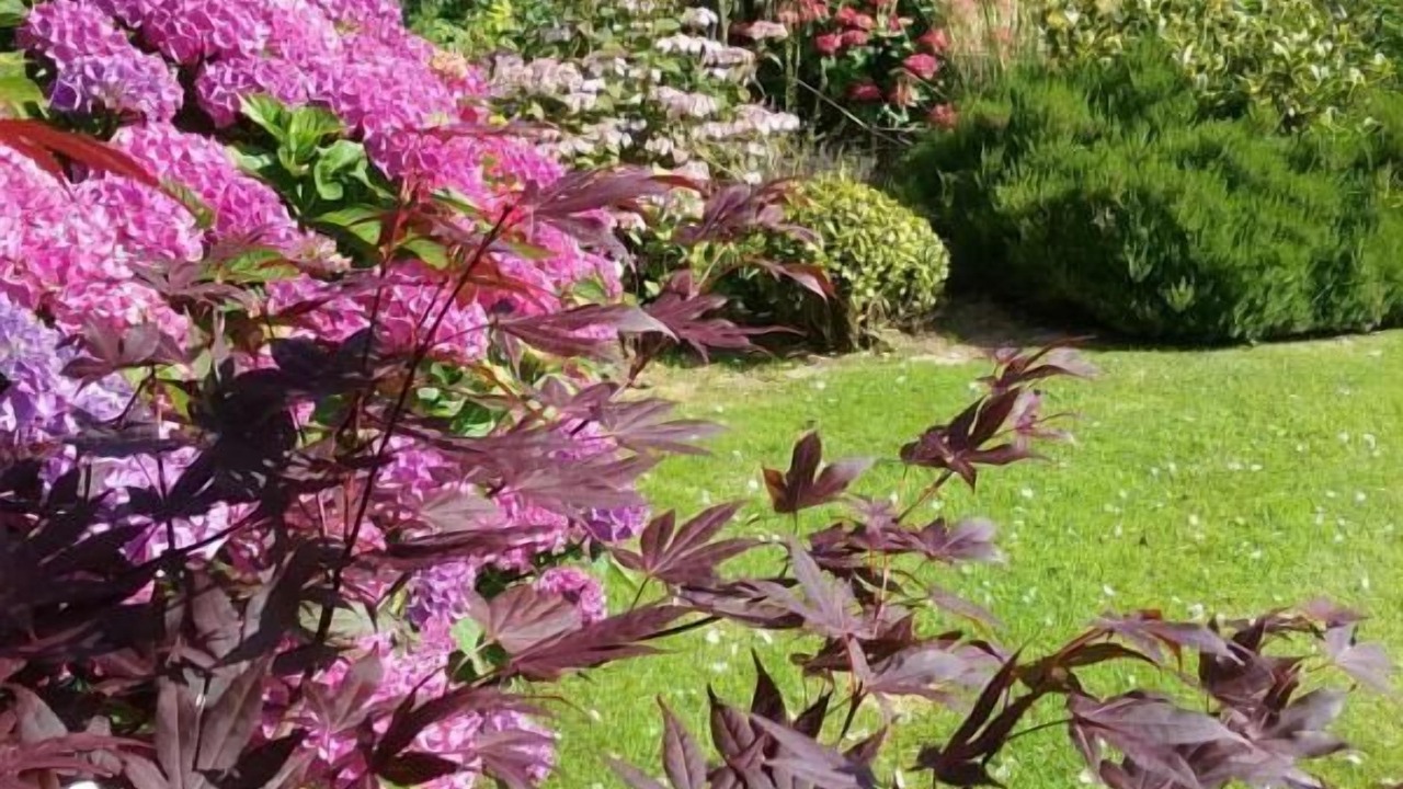 Photo of Outdoor in Brunville