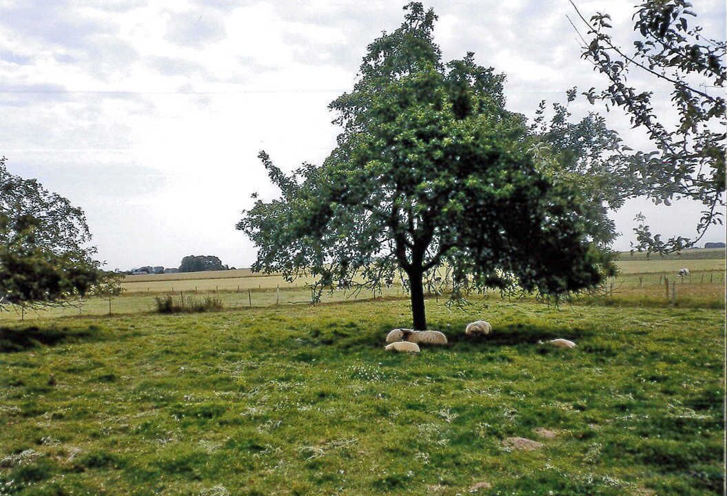 Photo of Others in Lintot