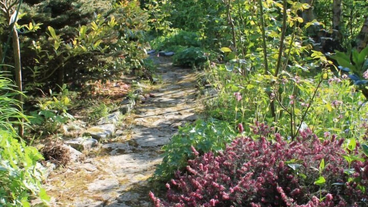 Photo of Outdoor in Sainte-Marguerite-sur-Mer