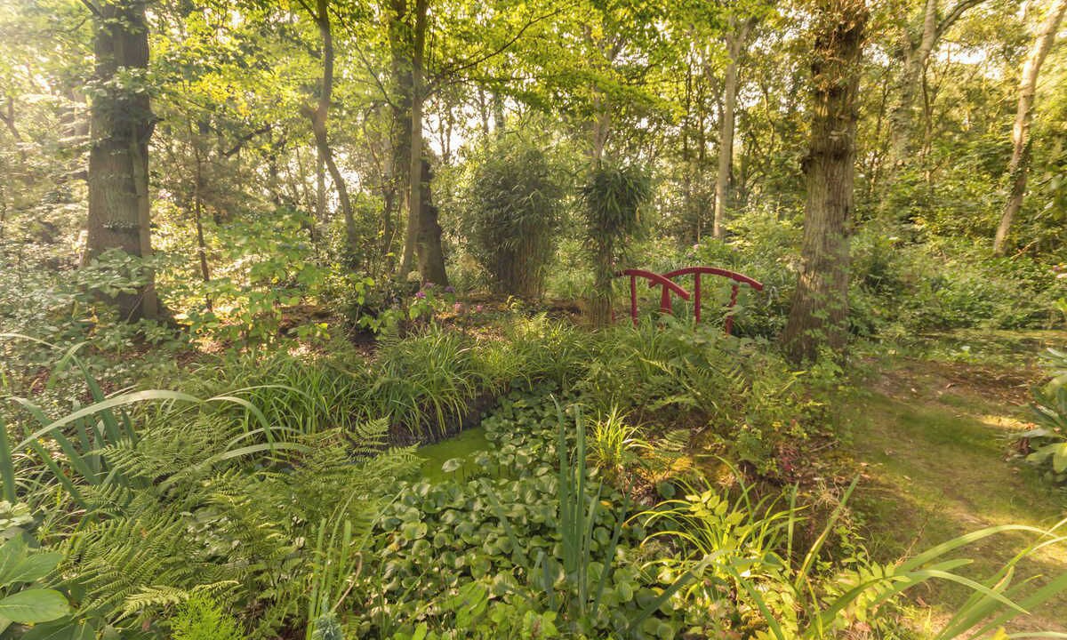 Photo of Outdoor in Sainte-Marguerite-sur-Mer