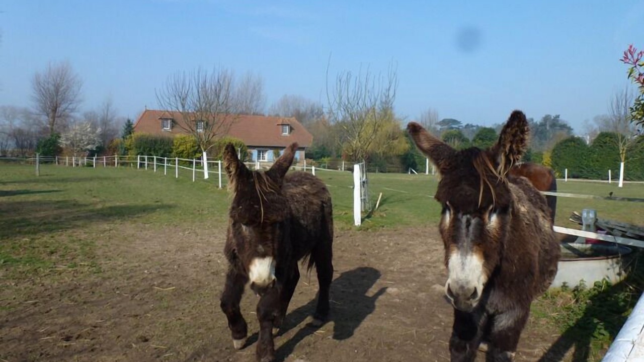 Photo of Outdoor in Paluel