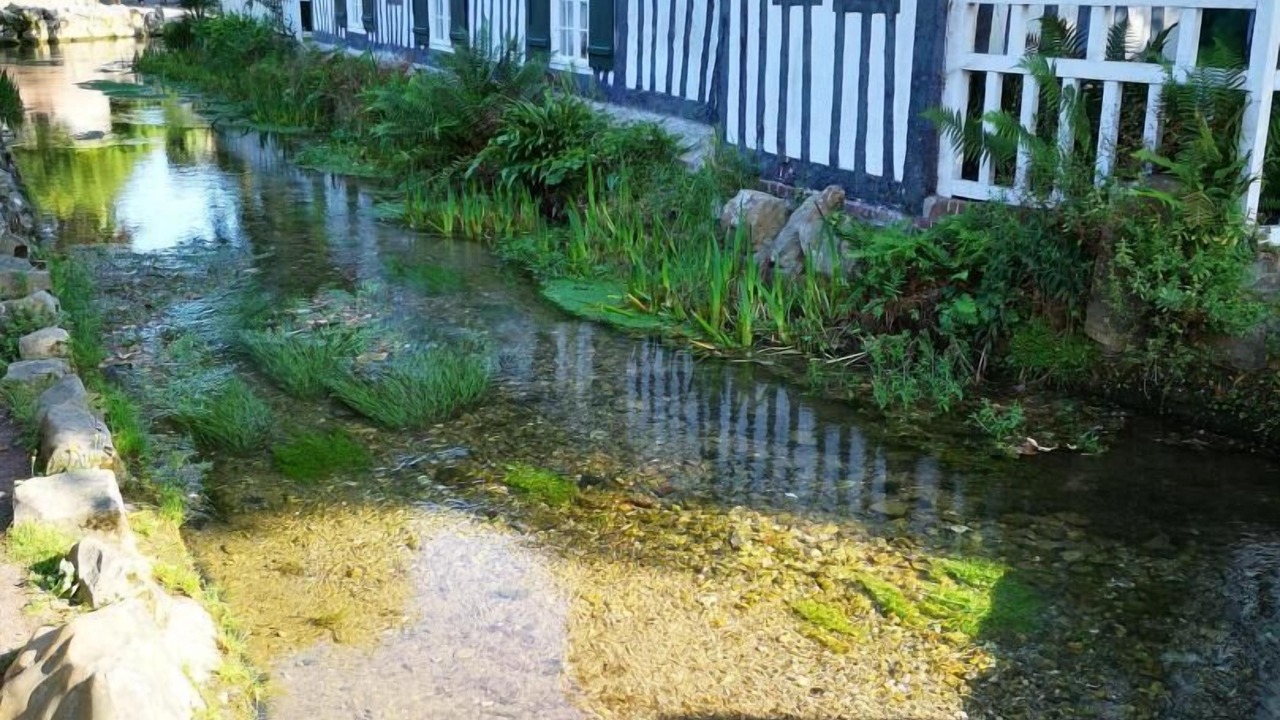 Photo of Outdoor in Vittefleur