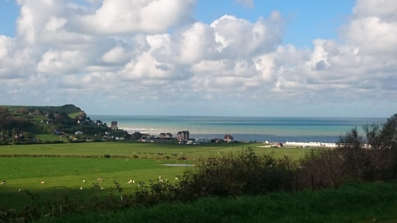 Photo of Outdoor in Vittefleur