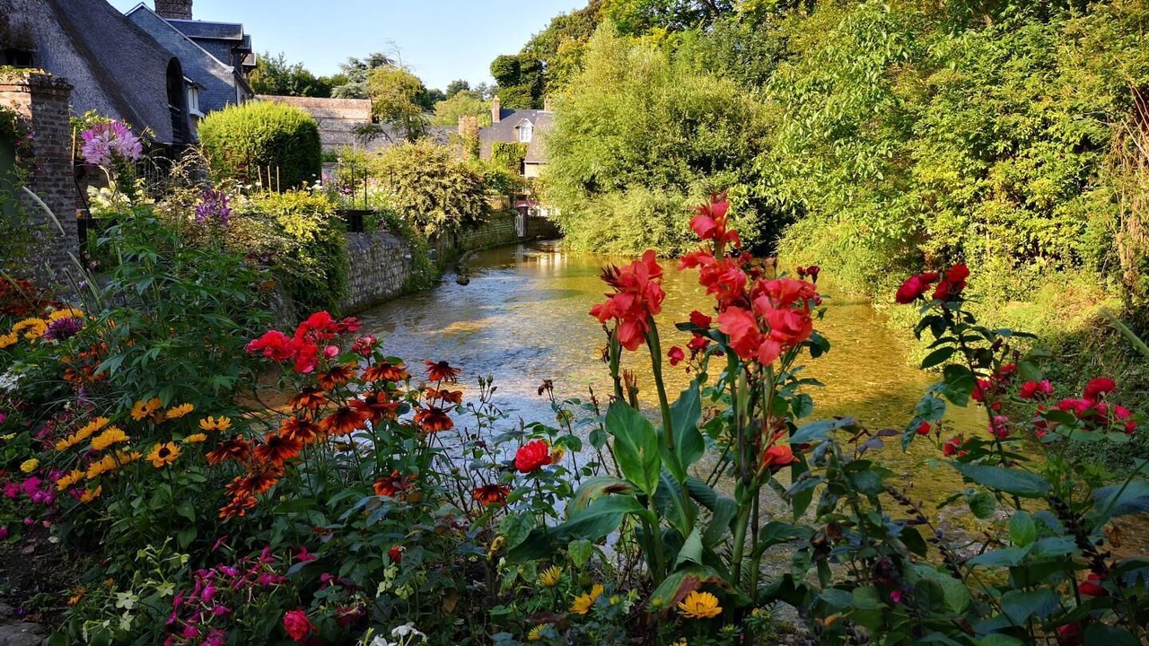 Photo of Outdoor in Vittefleur