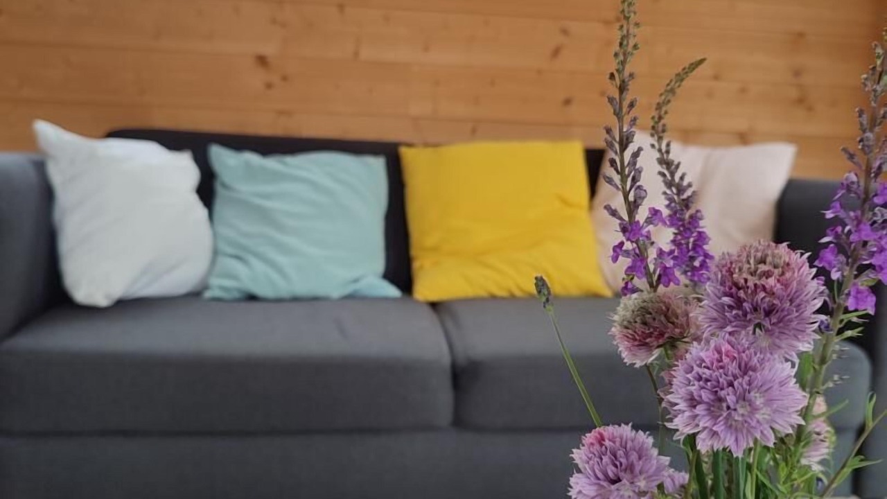 Photo of Others in Trepied