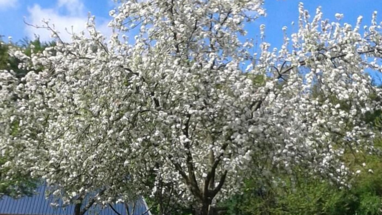 Photo of Outdoor in Criquetot-le-Mauconduit