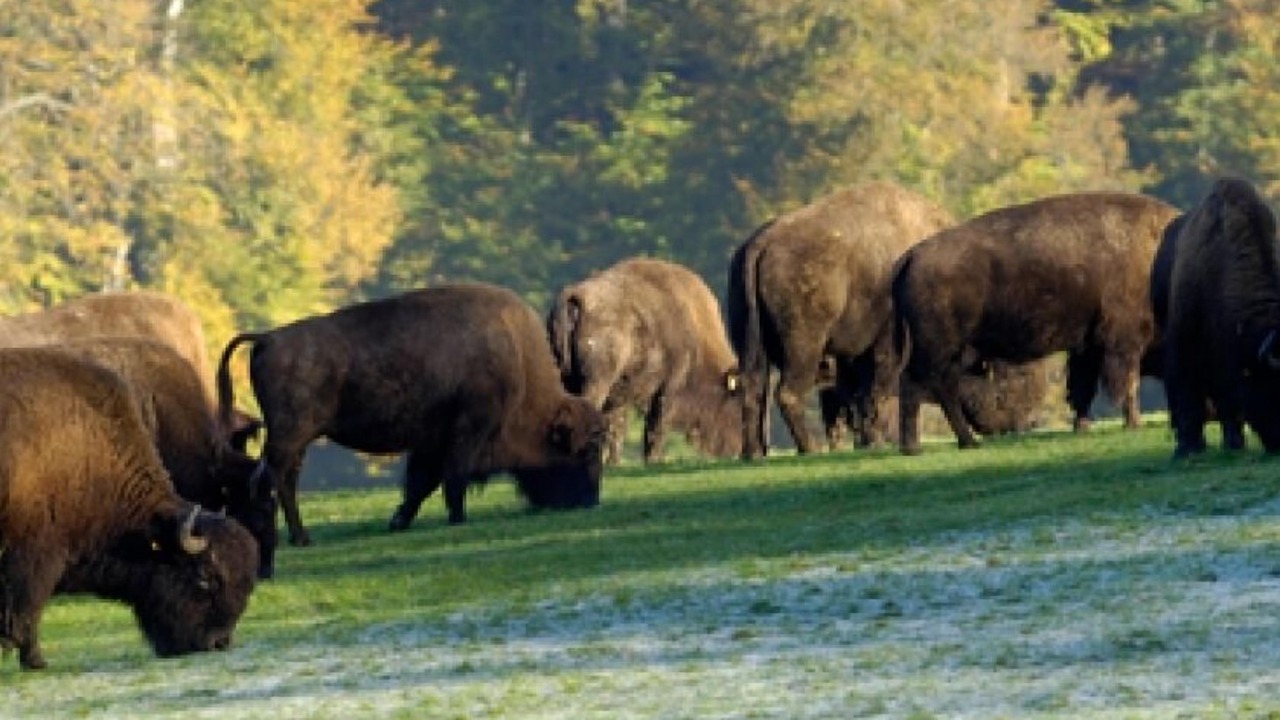 Photo of Outdoor in Muchedent