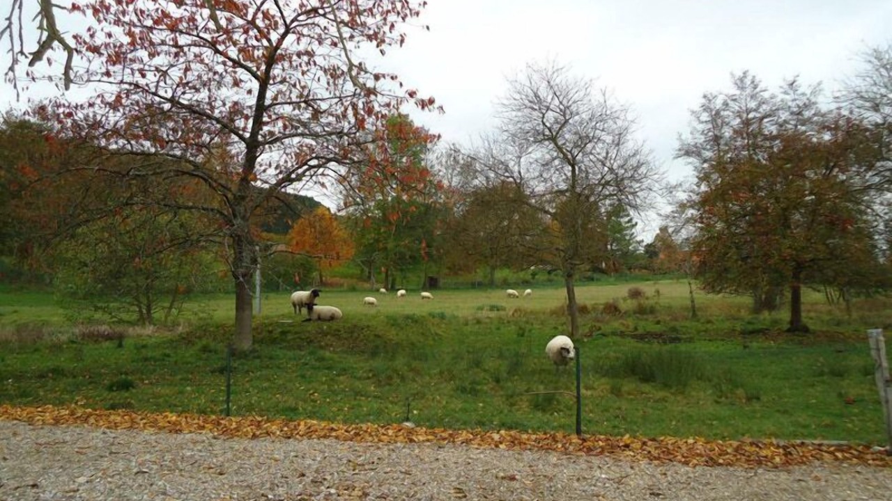 Photo of Others in Muchedent