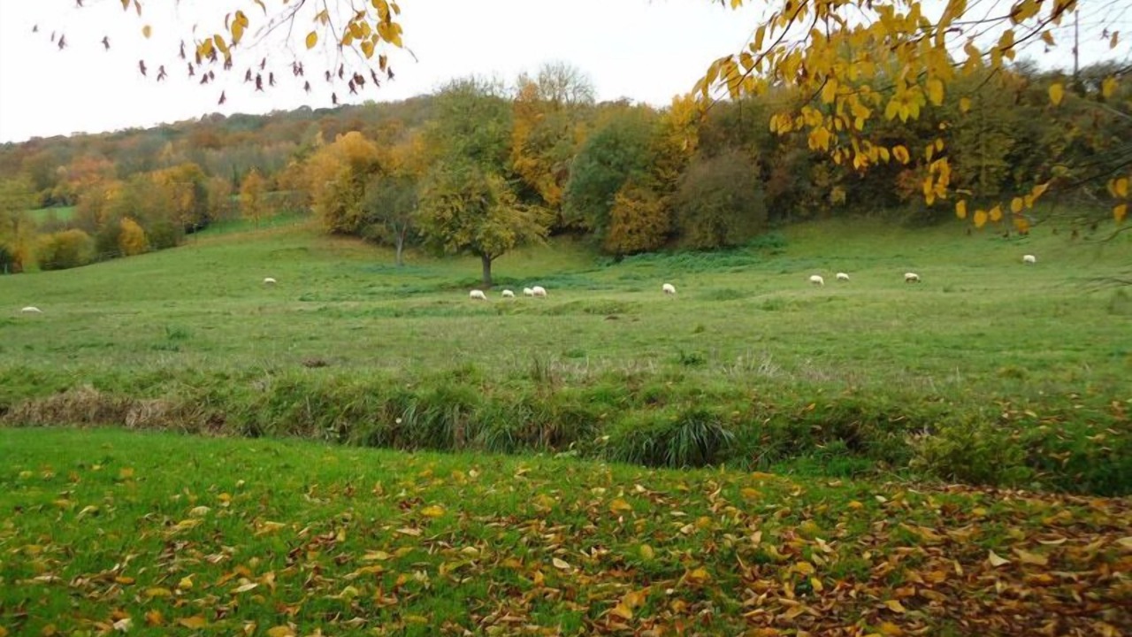 Photo of Others in Muchedent