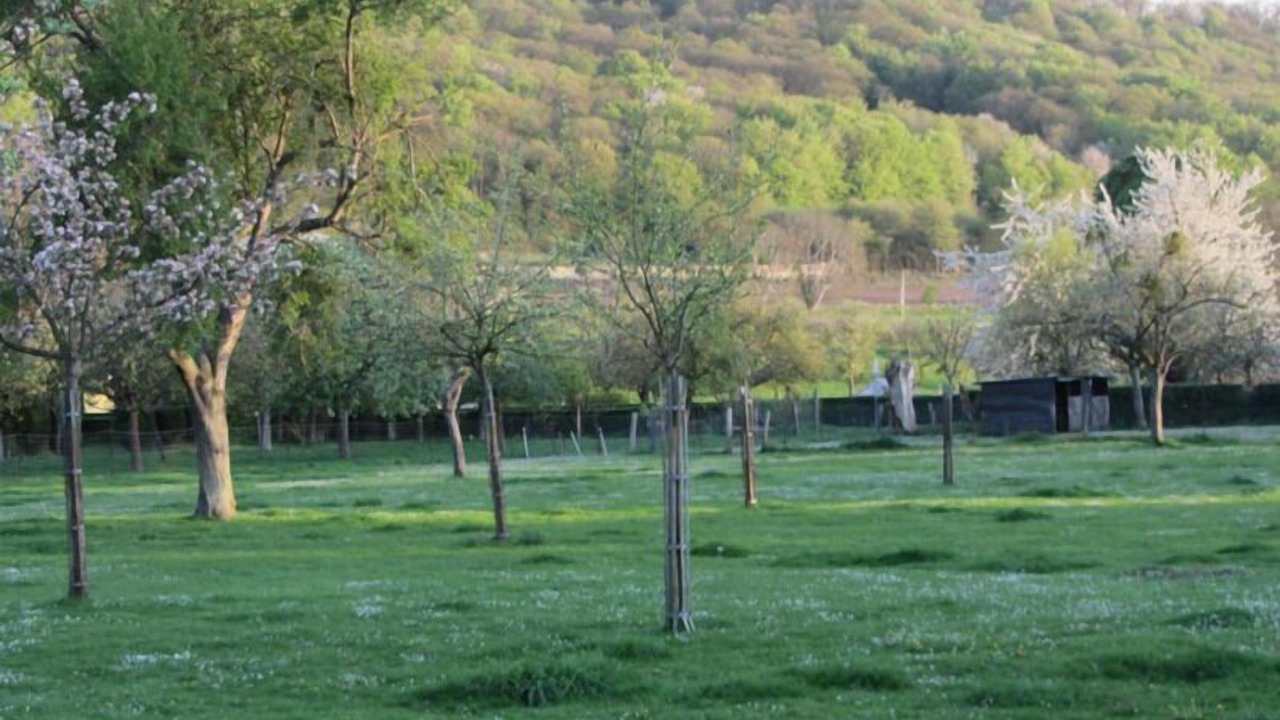 Photo of Outdoor in Yville-sur-Seine
