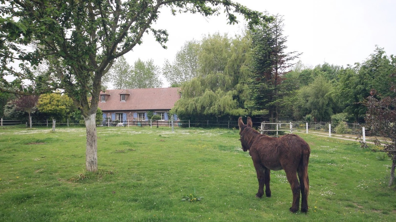 Photo of Others in Paluel