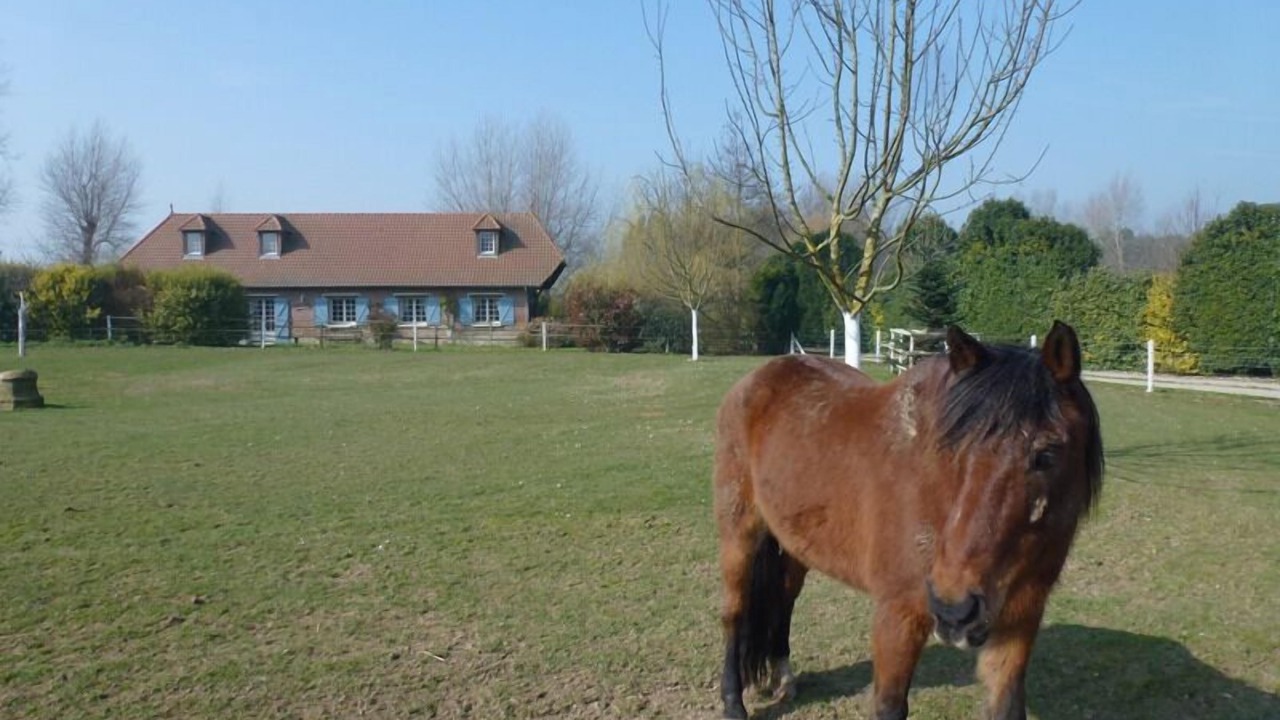 Photo of Outdoor in Paluel