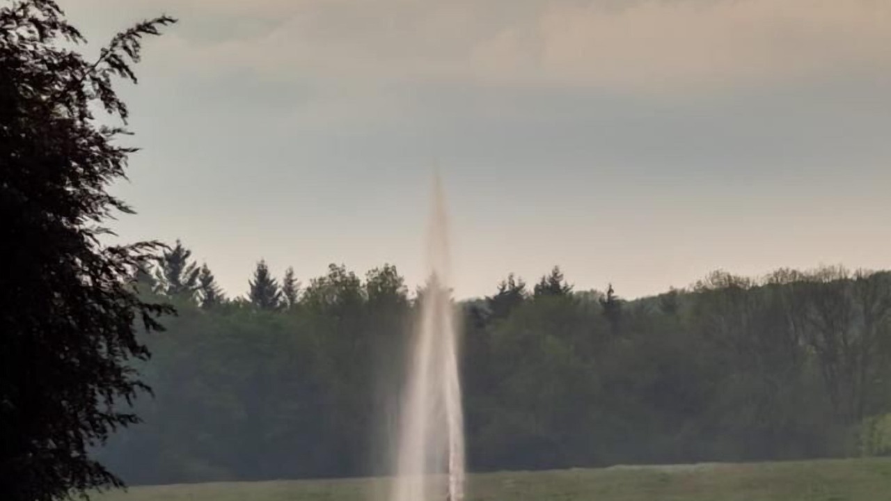 Photo of Others in Bois-Heroult