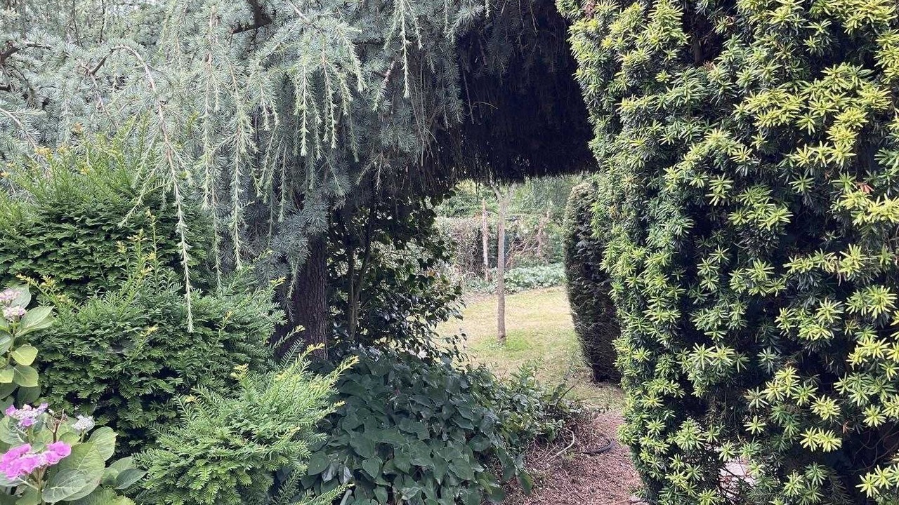 Photo of Outdoor in Bois-Heroult