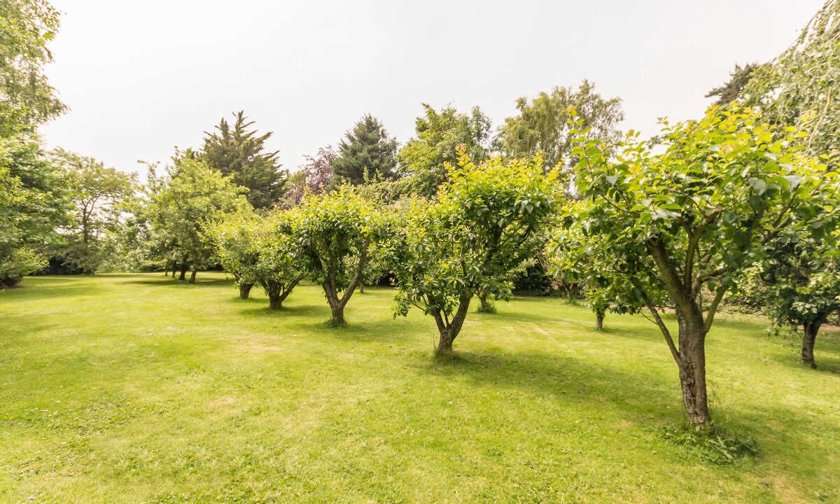 Photo of Outdoor in Bordeaux-Saint-Clair