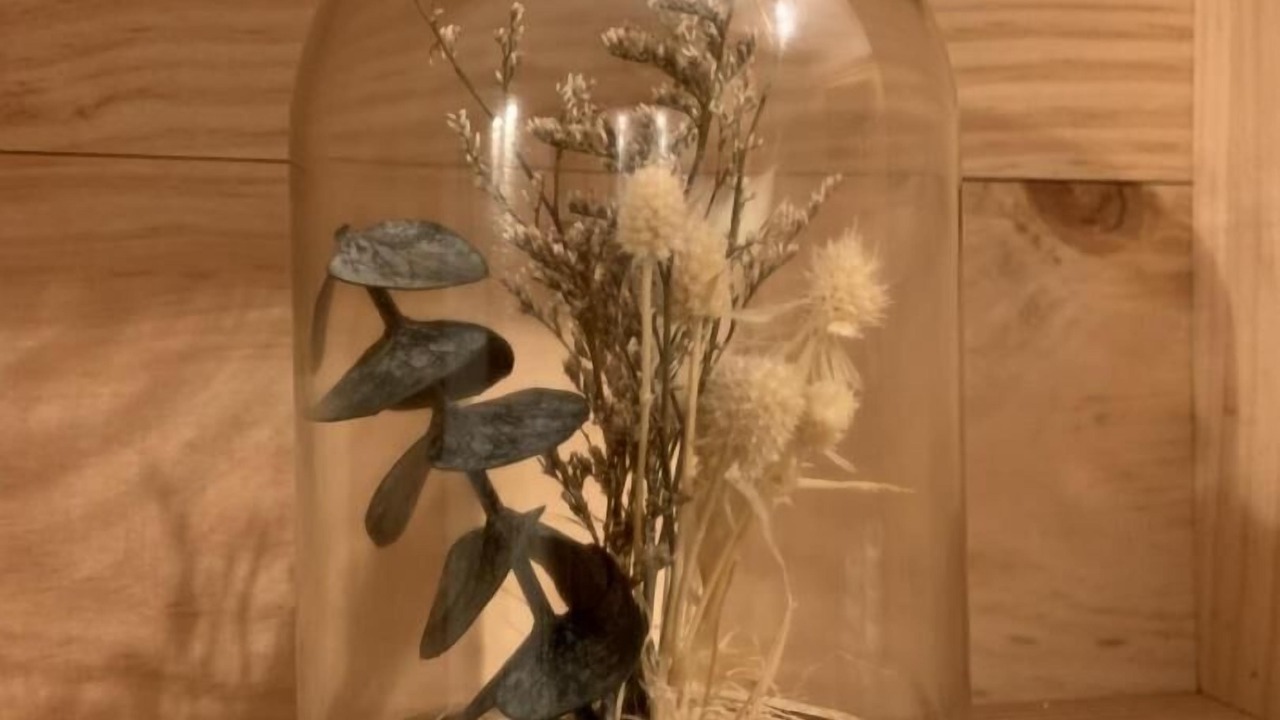 Photo of Others in Bordeaux-Saint-Clair