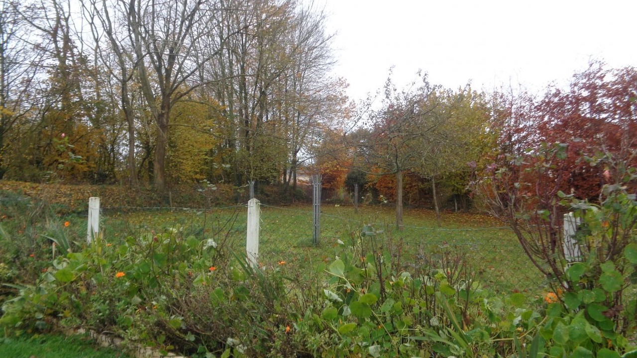 Photo of Outdoor in Criquetot-lʼEsneval