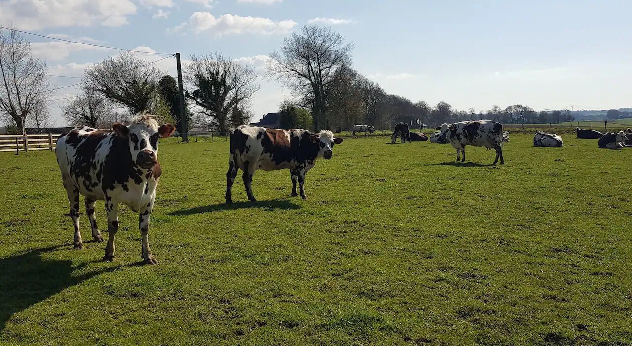 Photo of Others in Anglesqueville-l'Esneval