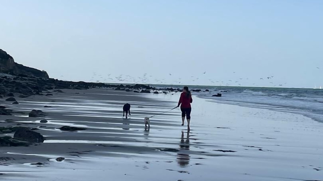 Photo of Others in Octeville-sur-Mer