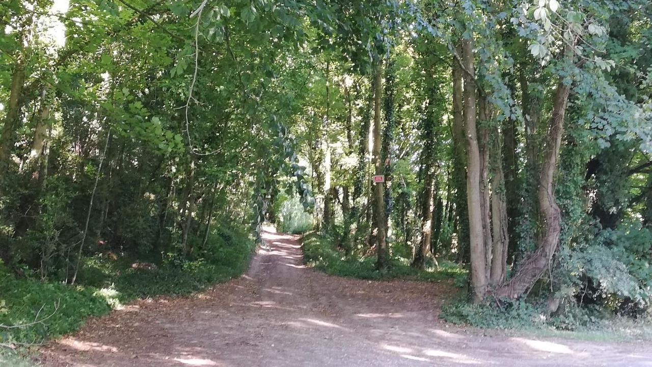 Photo of Outdoor in Bacqueville-en-Caux