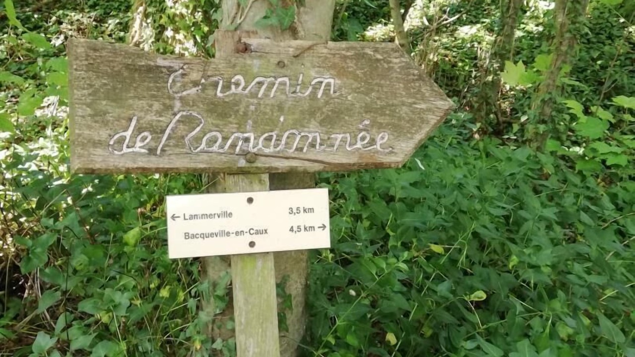 Photo of Outdoor in Bacqueville-en-Caux