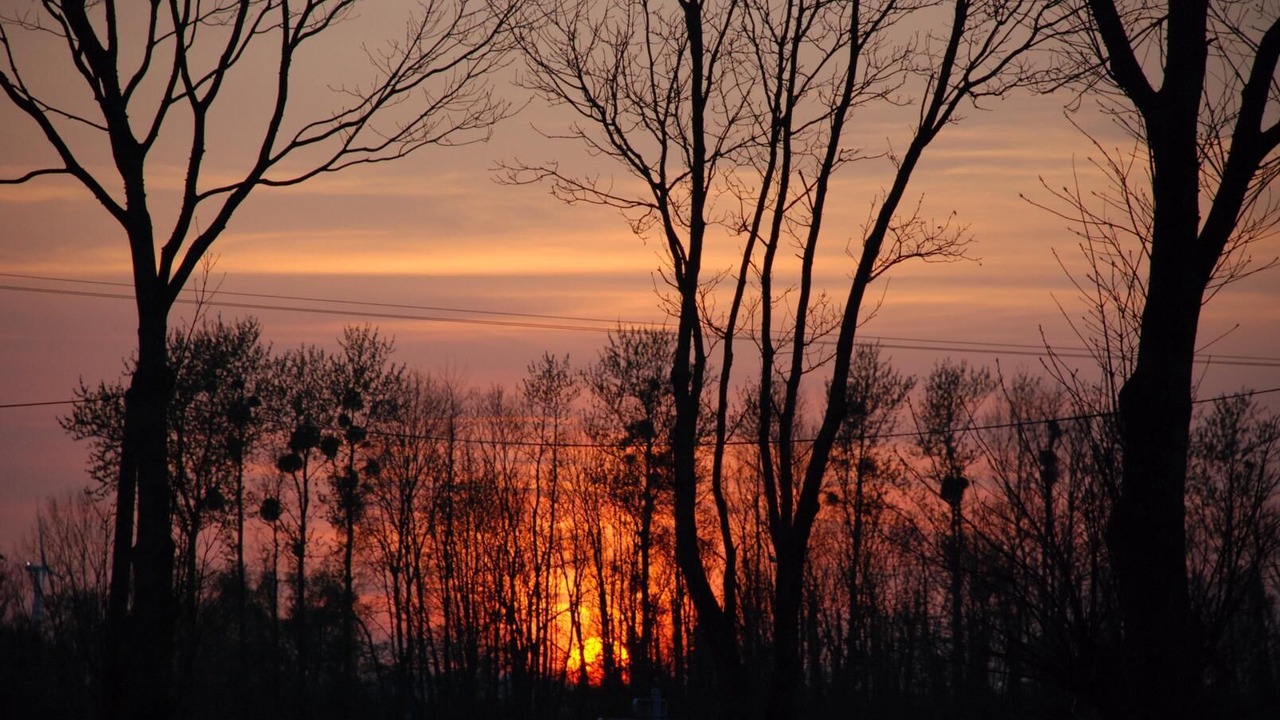 Photo of Outdoor in Bacqueville-en-Caux