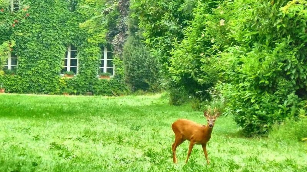 Photo of Outdoor in Varneville-Bretteville
