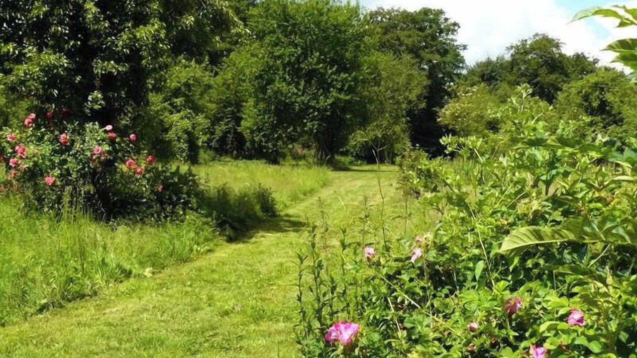 Photo of Outdoor in Varneville-Bretteville