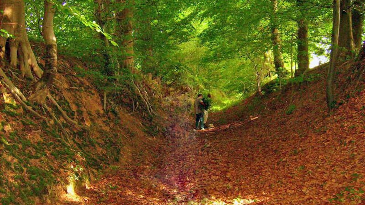 Photo of Outdoor in Varneville-Bretteville