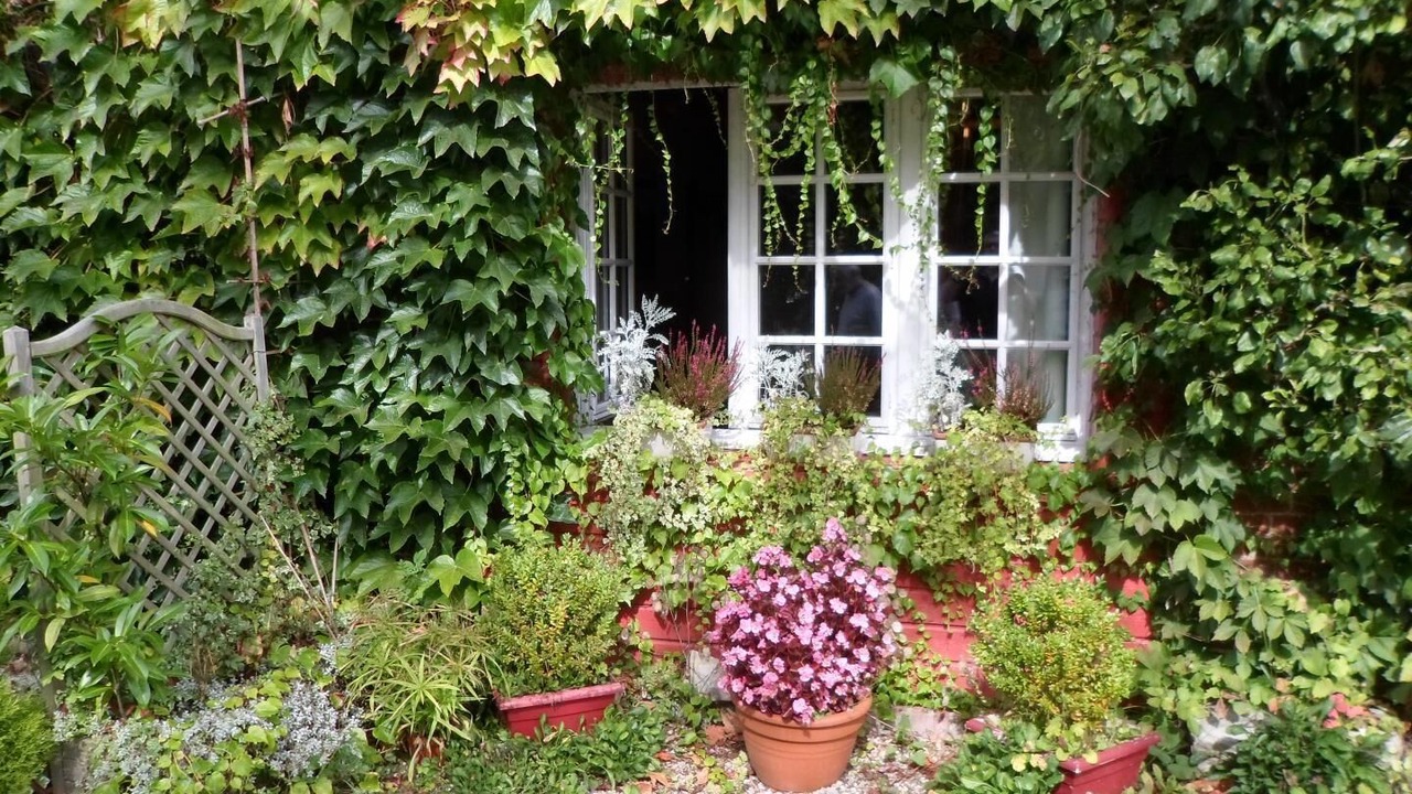 Photo of Outdoor in Riville