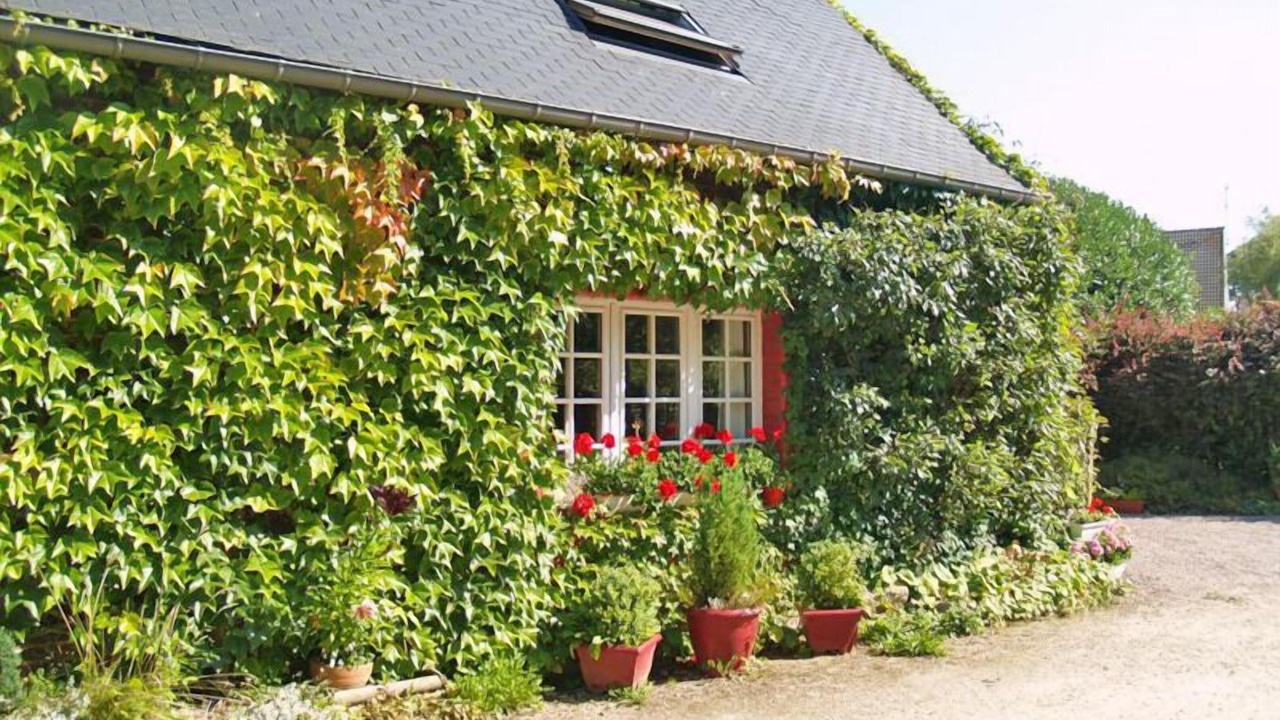 Photo of Outdoor in Riville