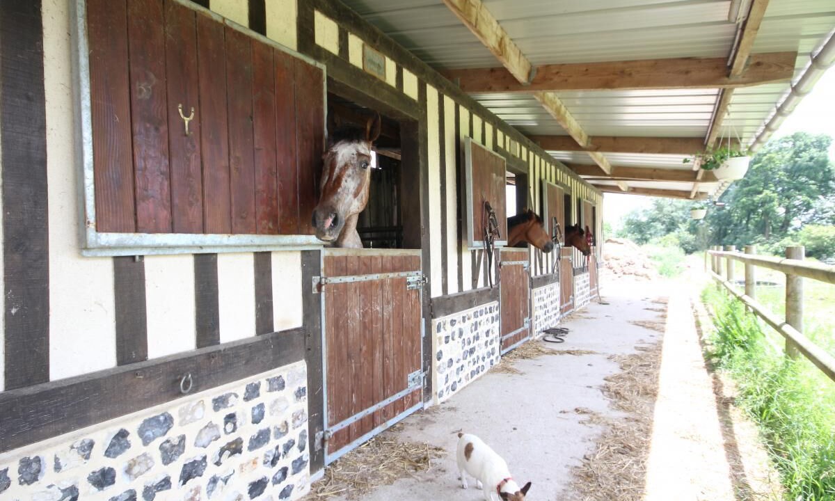 Photo of Outdoor in La Cerlangue