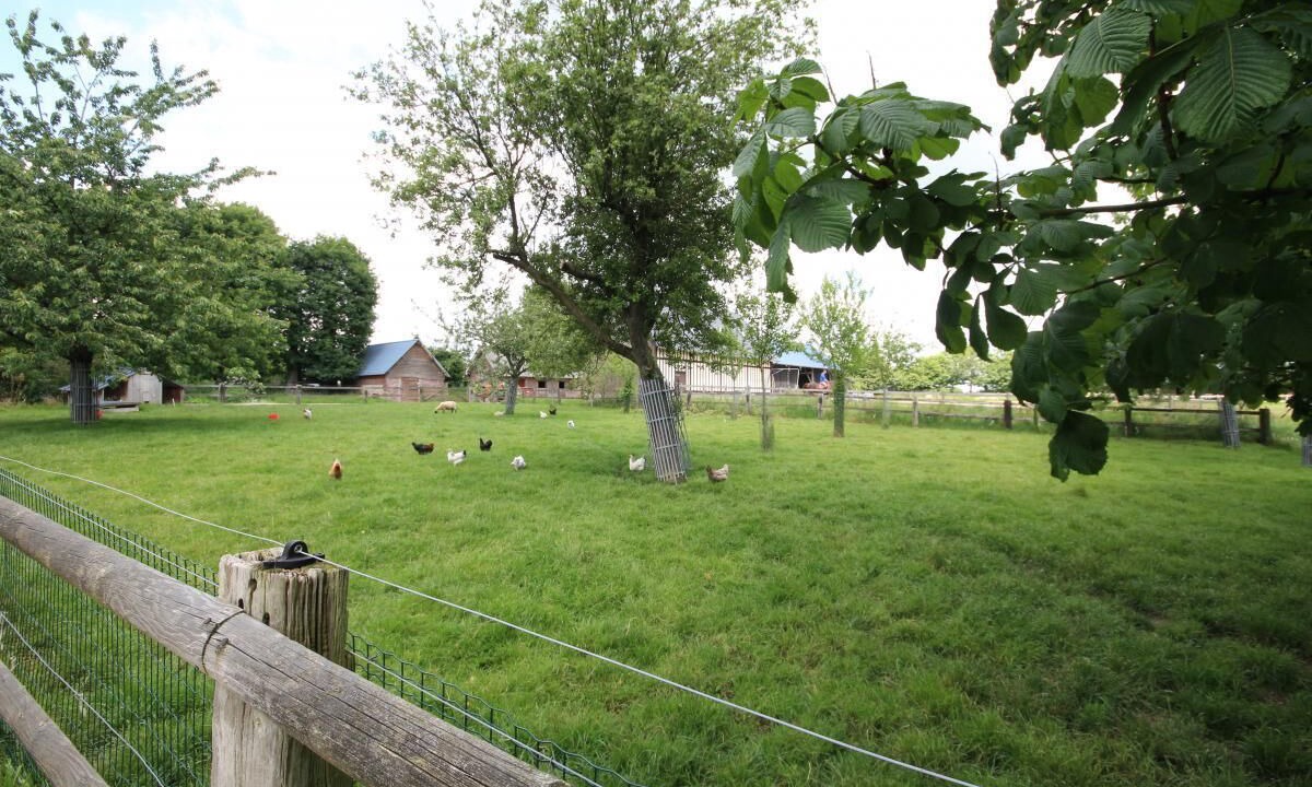 Photo of Outdoor in La Cerlangue