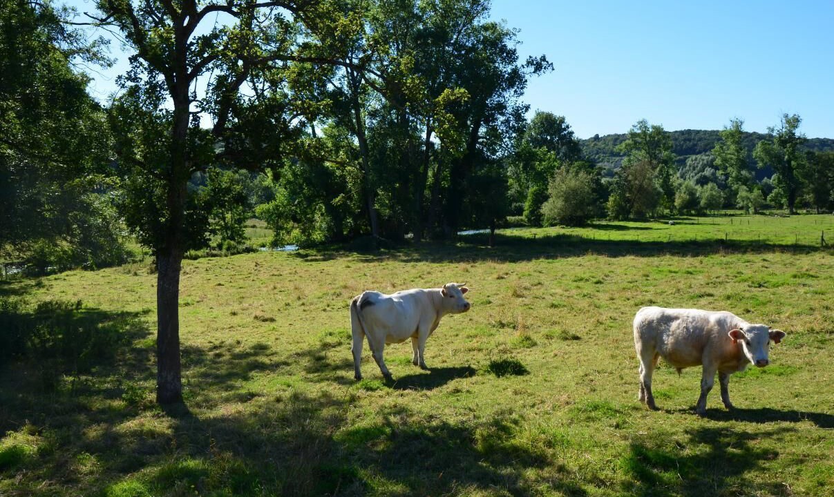 Photo of Others in Muchedent