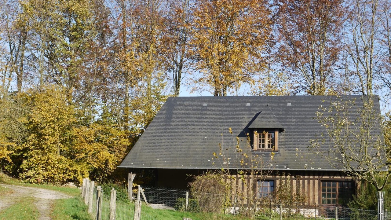 Photo of Outdoor in Saint-Antoine-la-Foret