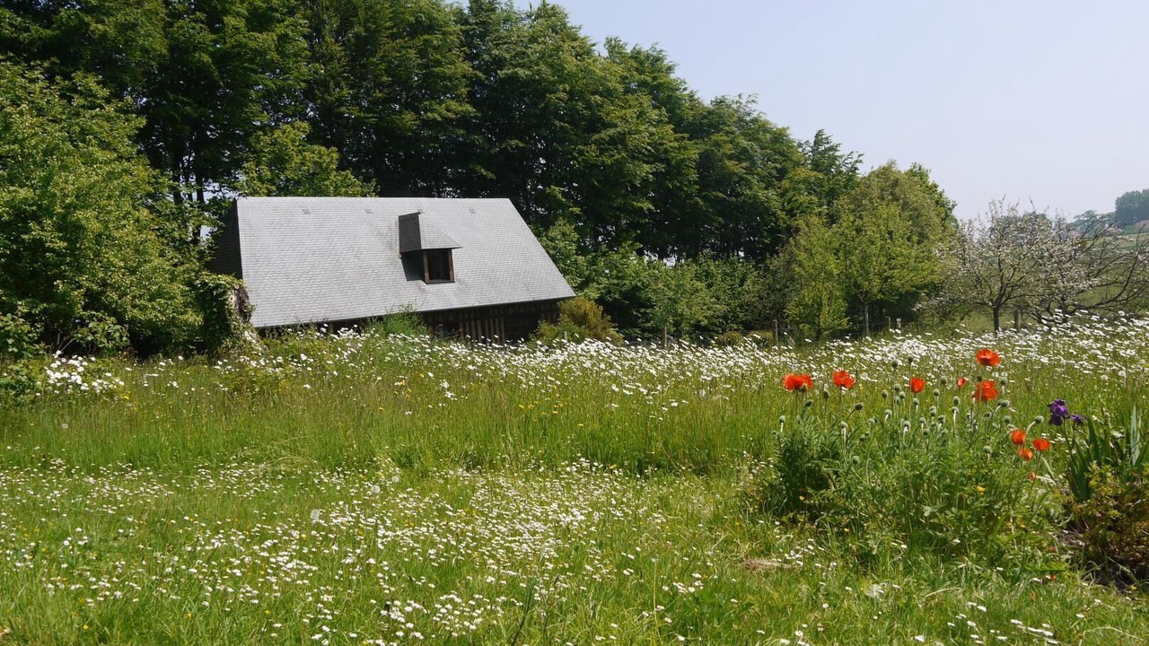 Photo of Outdoor in Saint-Antoine-la-Foret