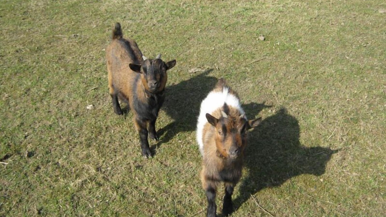 Photo of Outdoor in Barentin