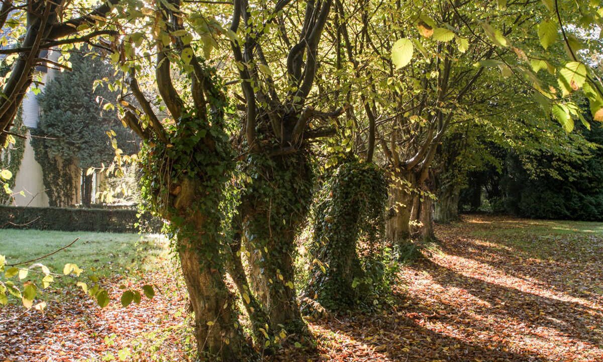 Photo of Outdoor in La Londe