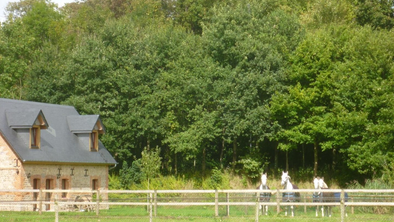 Photo of Outdoor in Paluel