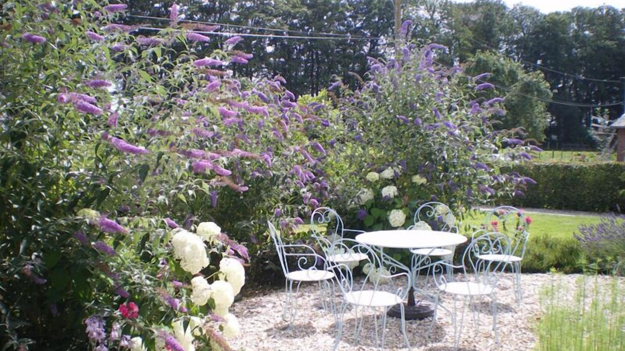 Photo of Outdoor in Angiens