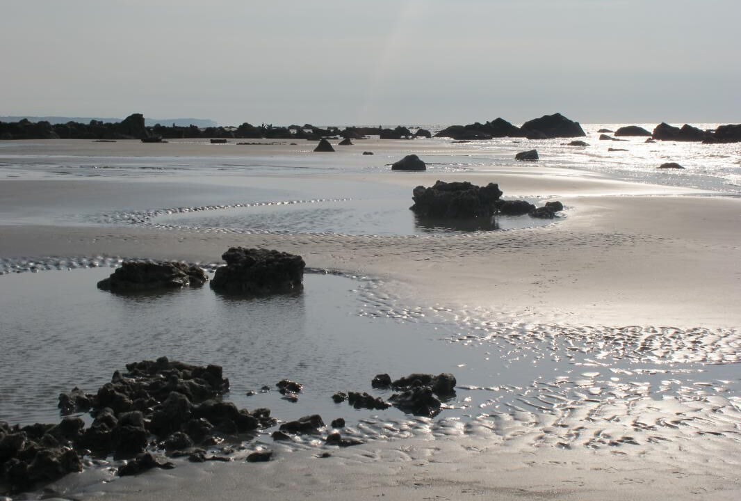 Photo of Others in Le Bourg-Dun