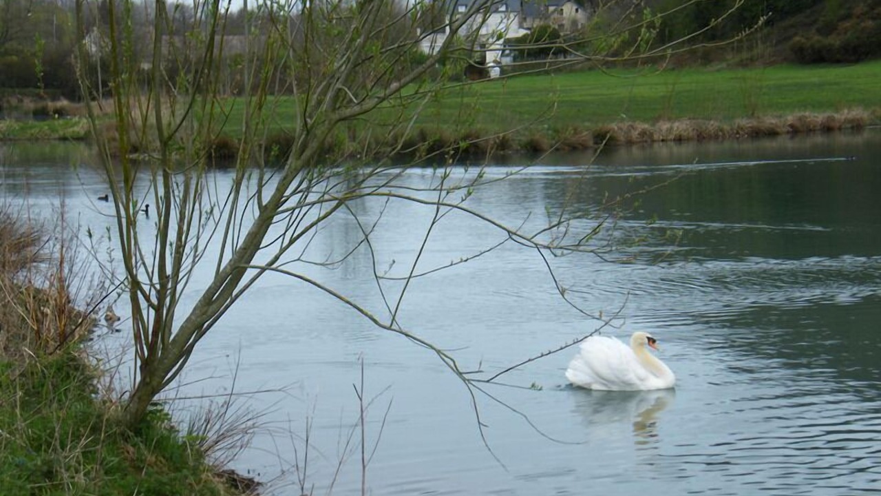 Photo of Others in Rolleville