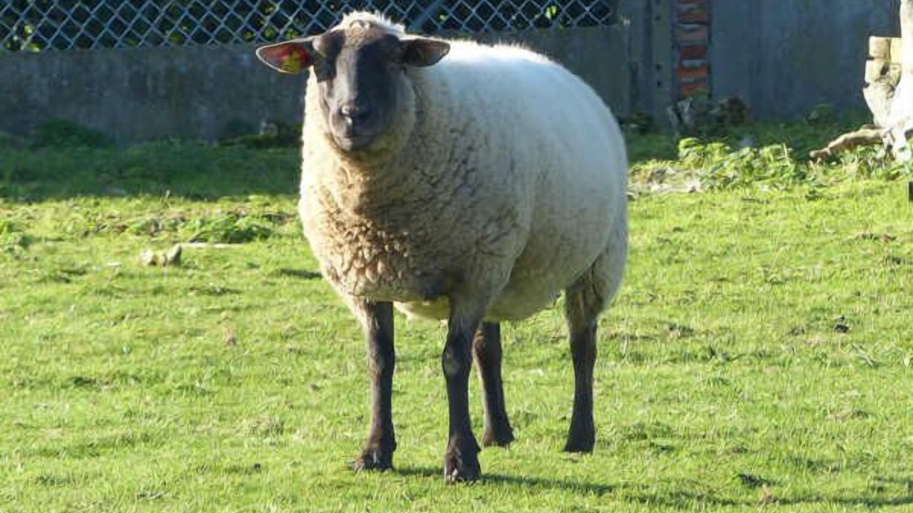 Photo of Others in Eletot