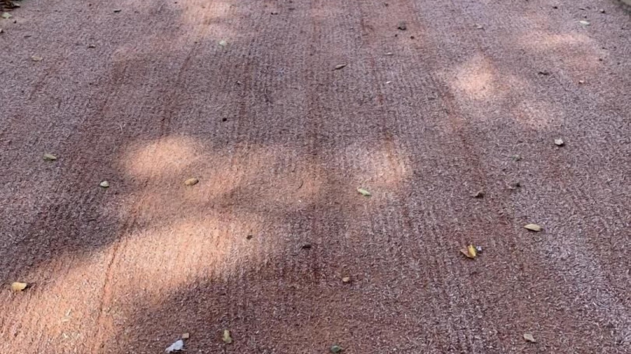 Photo of Outdoor in Angerville-la-Martel